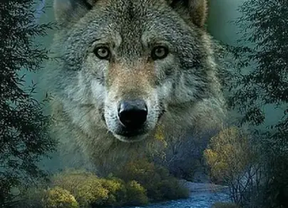 Скачать волк одиночка