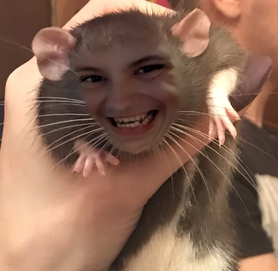 Мем с мышкой с большими глазами. Улыбка крысы. Крыса улыбается. Крыса Мем. Смешные крысы.