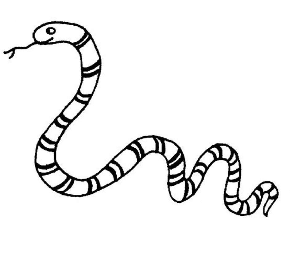 Змея раскраска. Змея раскраска для детей. Раскраска змеи для детей. Змея картинка раскраска.