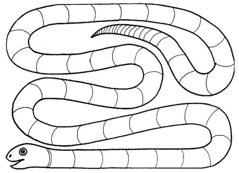 Примеры змейка. Змея раскраска. Раскраска змеи для детей. Змея задания для детей. Змея раскраска для детей.