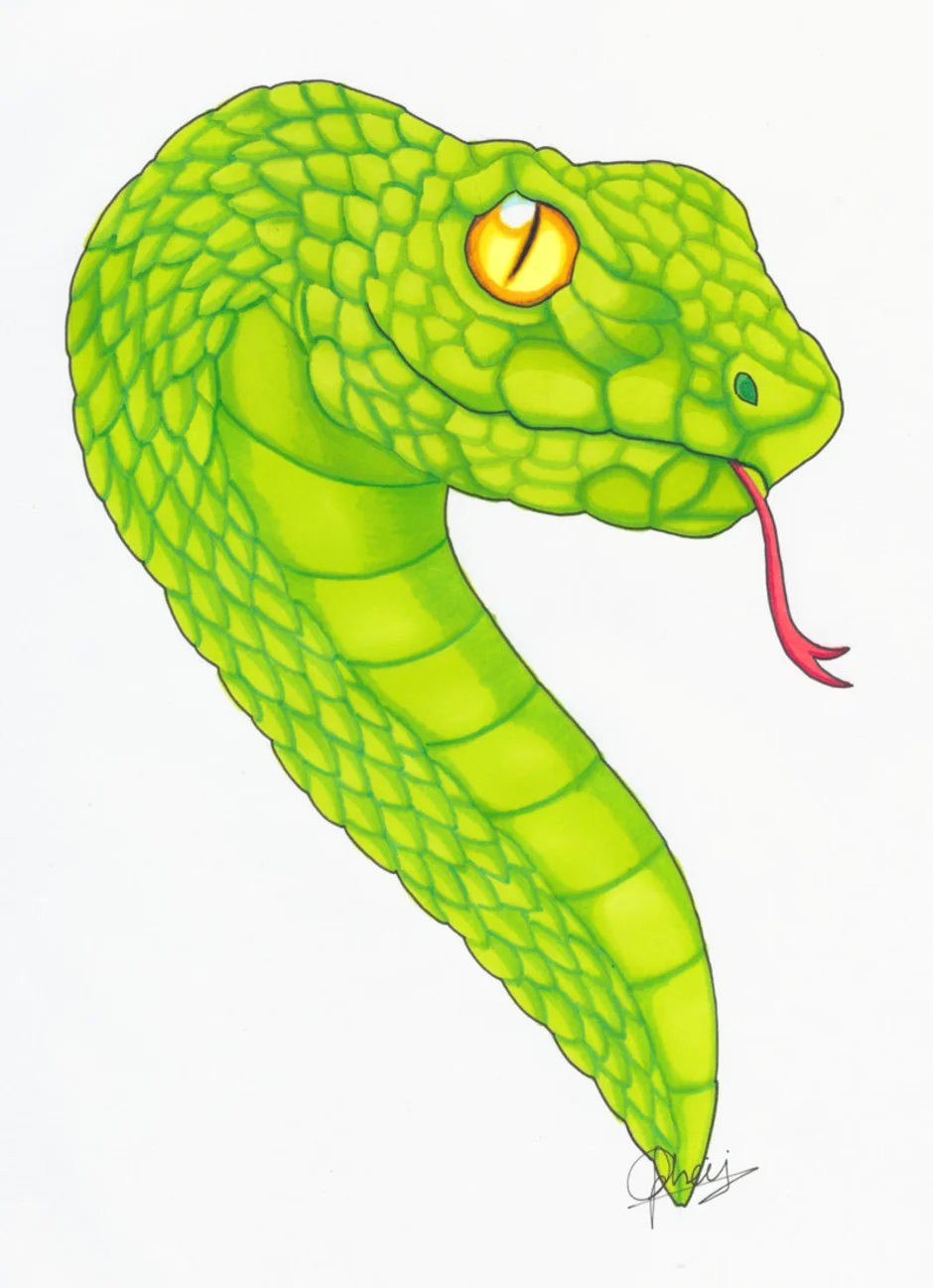 Голова змейки. Голова змеи. Рисунок змеи. Змеиная голова. Голова змеи для детей.