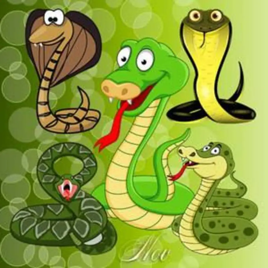 Женский коллектив змеи. Веселая змея. Мультяшные змеи. Змей мультяшный. Отношения между змеей и змеей