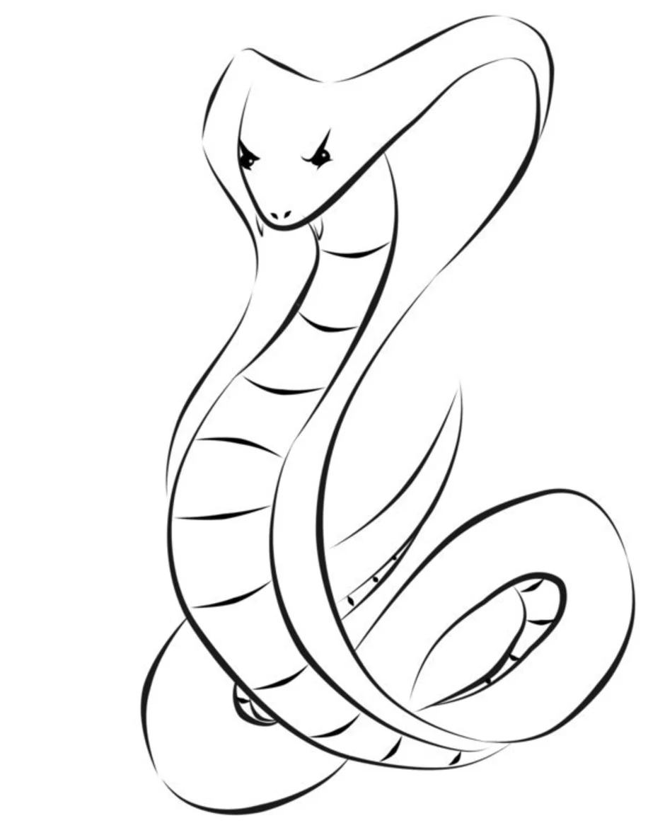 Набросок змеи. Эскизы татуировок змеи. Змея карандашом. Змея контур.