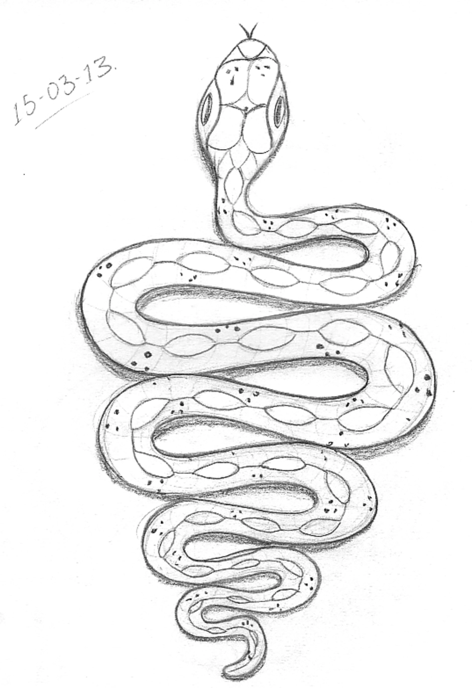 Змейка для начинающих. Рисунок змеи. Рисунок змеи карандашом для срисовки. Змея контур. Рисунки для срисовки змея.