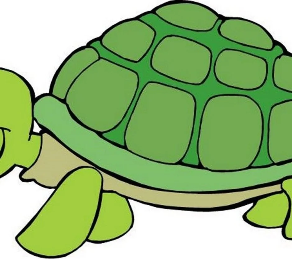 Turtle shape. Черепаха рисунок. Черепаха для детей. Черепаха рисунок для детей. Черепаха картинка для детей.
