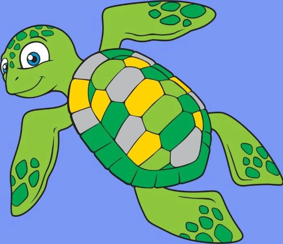 Малыш черепахи. Черепаха для детей. Черепаха рисунок. Черепаха детский рисунок. Черепаха картинка для детей.
