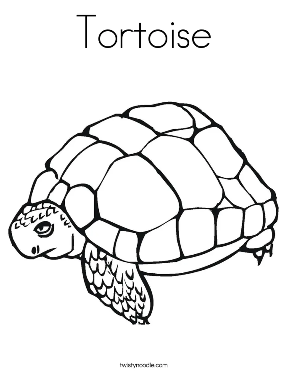 Tortoise трафарет для детей
