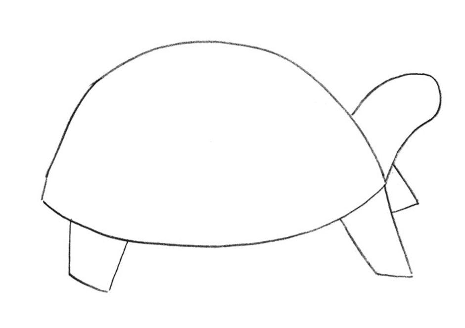 Черепаха средняя группа. Черепаха рисунок. Черепаха шаблон для рисования. Рисование черепаха средняя группа. Поэтапное рисование черепахи.