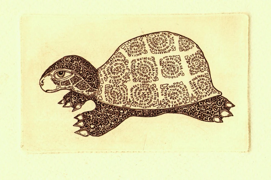 Степная черепаха рисунок