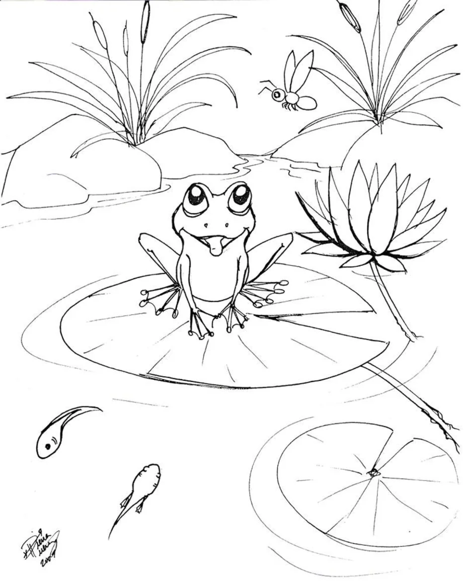 Царевны лягушки поэтапно. Лягушка рисунок карандашом. Царевна лягушка рисунок. Царевна лягушка рисунок карандашом. Лягушка рисунок для детей карандашом.