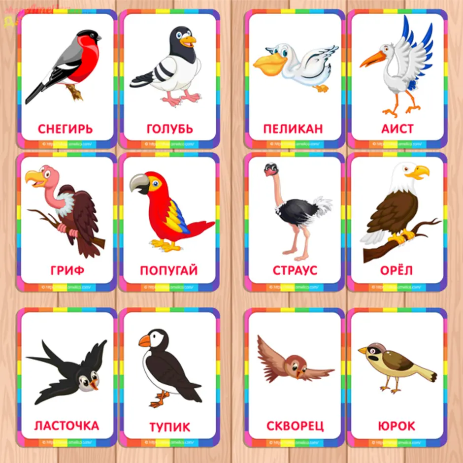 Рисунок птицы названия. Карточки "птицы". Птицы для детей. Дикие птицы для детей. Изучение птиц для детей.