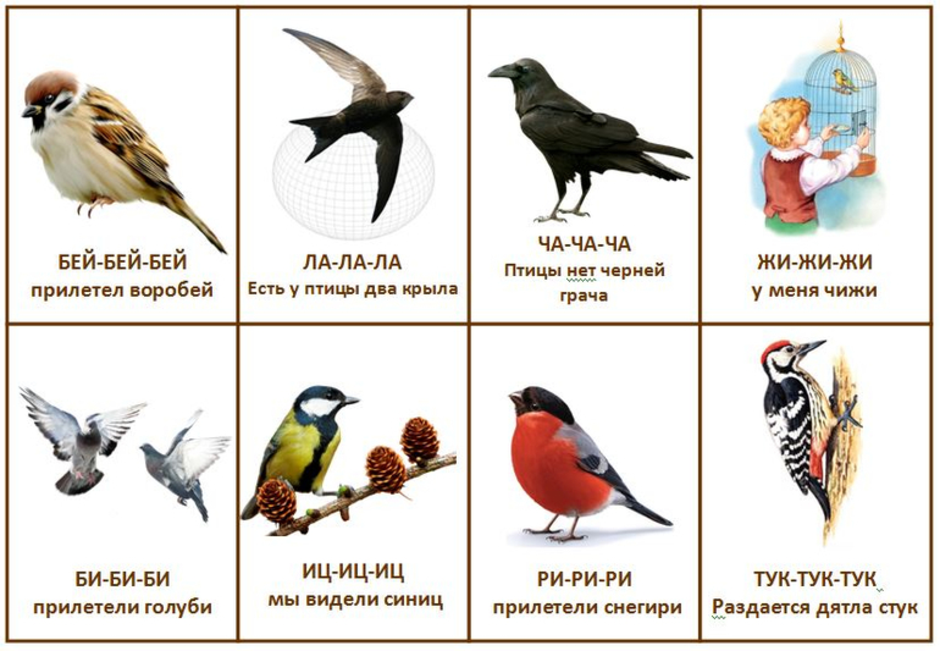 Зимующие птицы. Птицы для дошкольников. Перелетные птицы для дошкольников. Названия птиц для дошкольников.