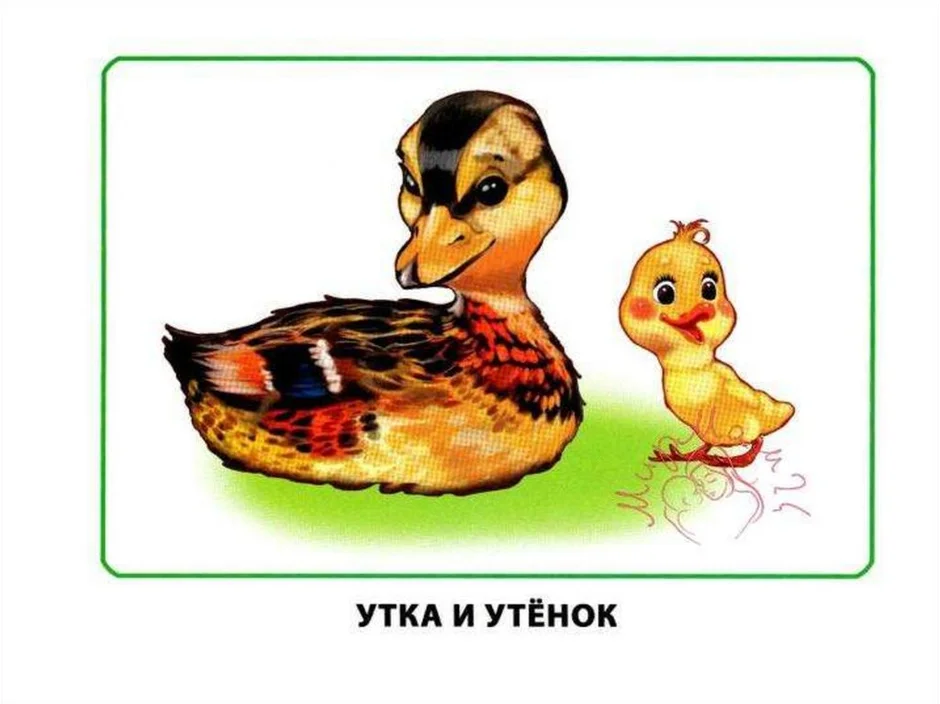 Утка картинка для детей