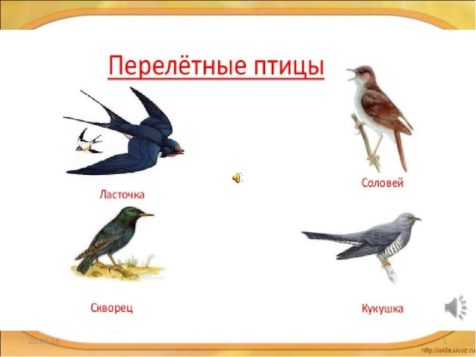 Перелетные птицы для детей 3 4