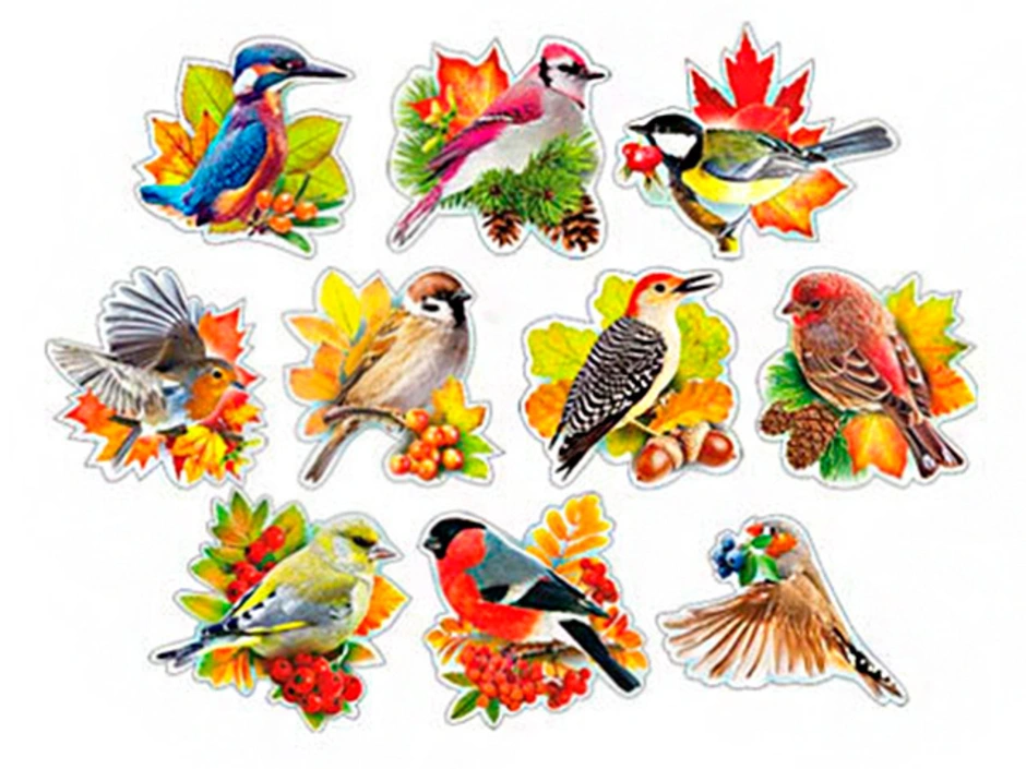 Птицы для детсада. Красивые птички для детского сада. Разноцветные птицы для детей. Птички для печати цветные. Птицы картинки для вырезания цветные детей распечатать