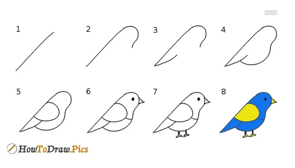 Рисуем птицу поэтапно презентация 2 класс. Схема рисования птицы. Поэтапное рисование птиц для детей. Схематичное изображение птицы. Этапы рисования птицы для дошкольников.