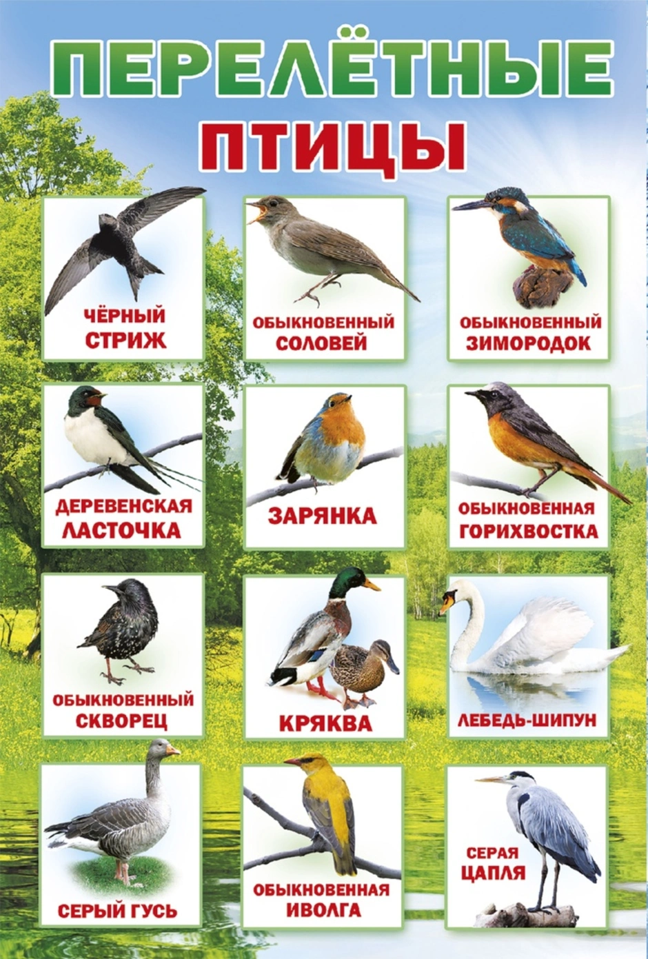 Конспект перелетные птицы весной старшая группа