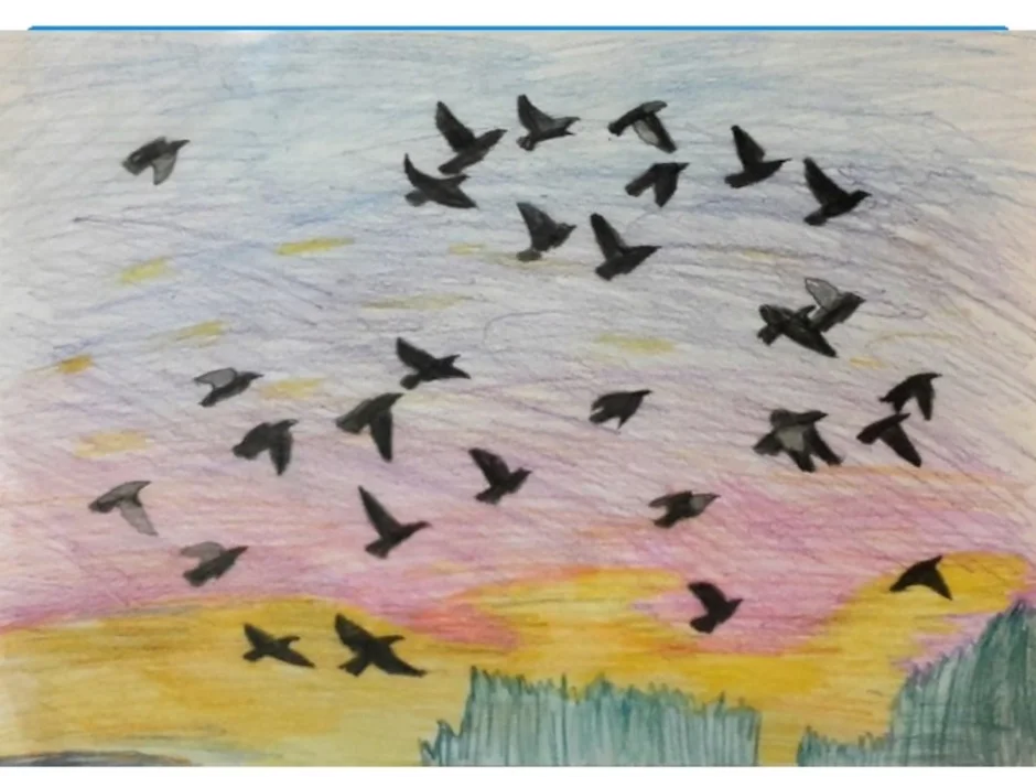Рисование тема перелетные птицы в подготовительной. Рисование перелетные птицы. Рисование для детей перелетные птицы. Перелетные птицы рисунок. Рисование улетают птицы.