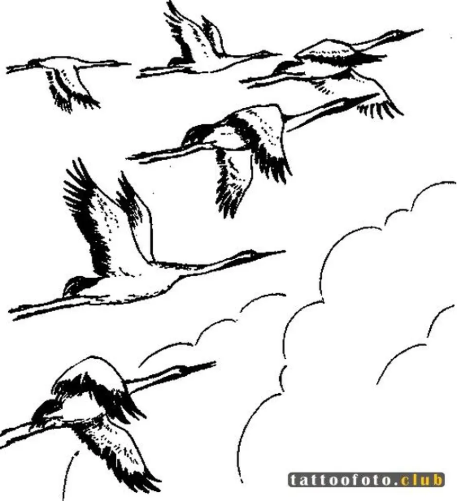 Как нарисовать журавля в небе. Птицы улетают. Птицы улетают раскраска. Птицы улетают рисунок. Птица летит рисунок.