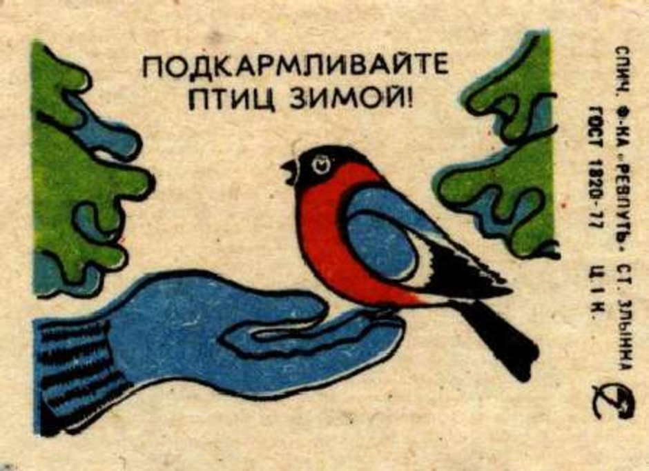 Рисунок берегите животных. Берегите птиц рисунок. Плакат в защиту птиц.