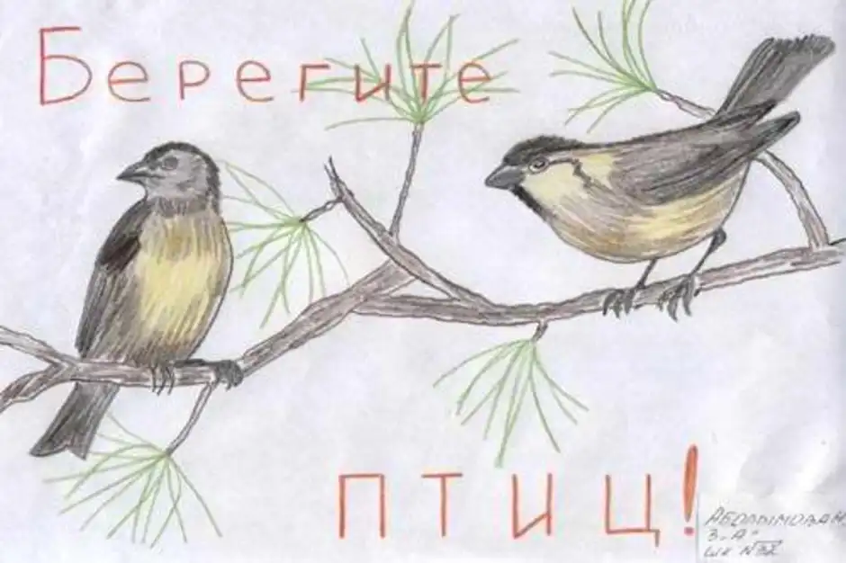 Рисунок на тему защита птиц. Рисунок на тему день птиц. Плакат на день птиц. Рисунок на тему берегите птиц.
