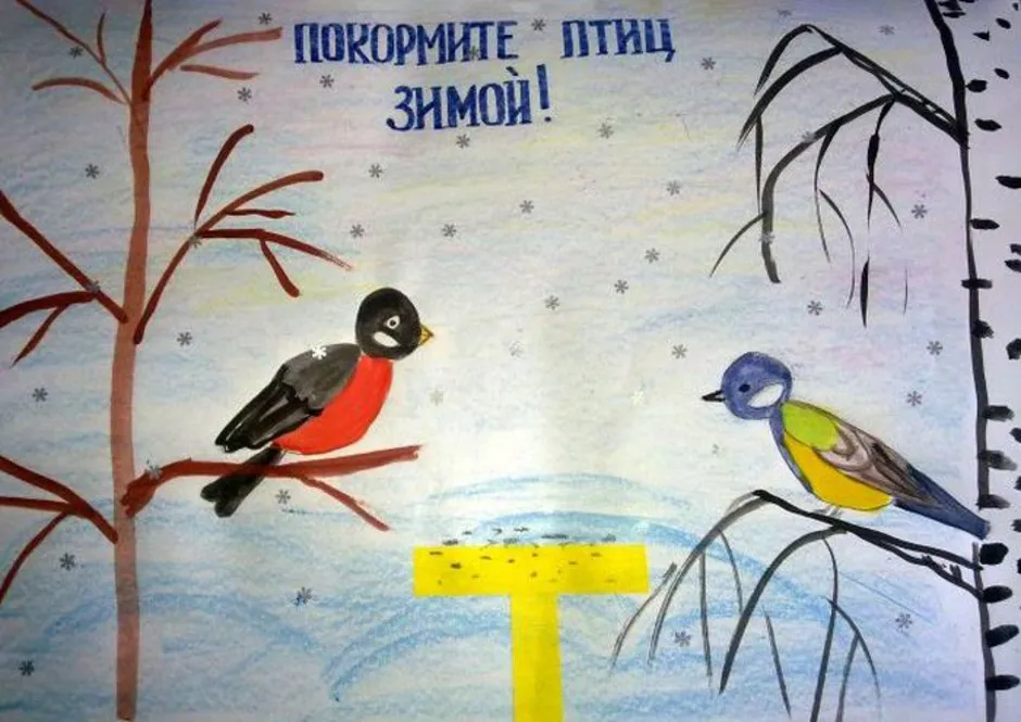 Рисунок берегите птиц. Рисунок на тему защита птиц. Берегите птиц зимой. Плакат берегите птиц. Рисунок на тему берегите птиц.
