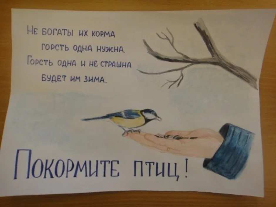 Листовка встречаем пернатых. Плакат в защиту птиц. Рисунок на тему защита птиц. Плакат берегите птиц. Листовка в защиту птиц.