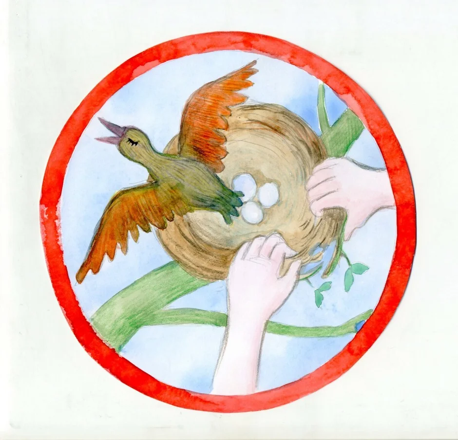 Знак берегите детей. Экологические знаки. Знаки охраны животных. Экологический знак не разоряйте птичьи гнезда. Экологические знаки природы для детей.