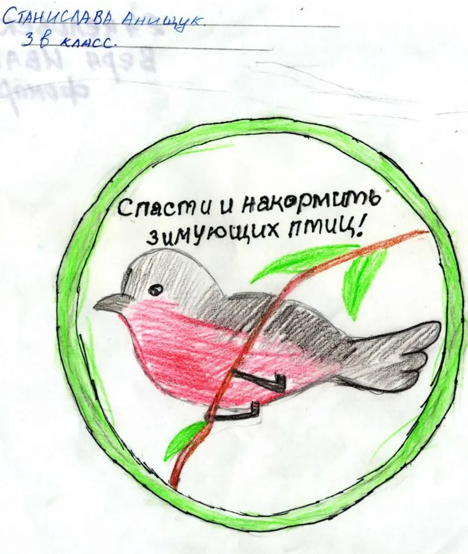 Рисунок берегите птиц. Плакат на тему птицы. Плакат берегите птиц. Плакат на тему защита птиц. Рисунок на тему защита птиц.