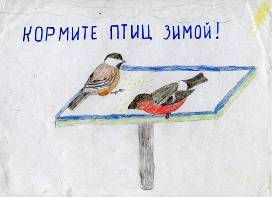Рисунок берегите птиц. Покормите птиц зимой. Покормите птиц зимой рисунок. Плакат Покорми зимующих птиц. Рисунок на тему зимующие птицы.