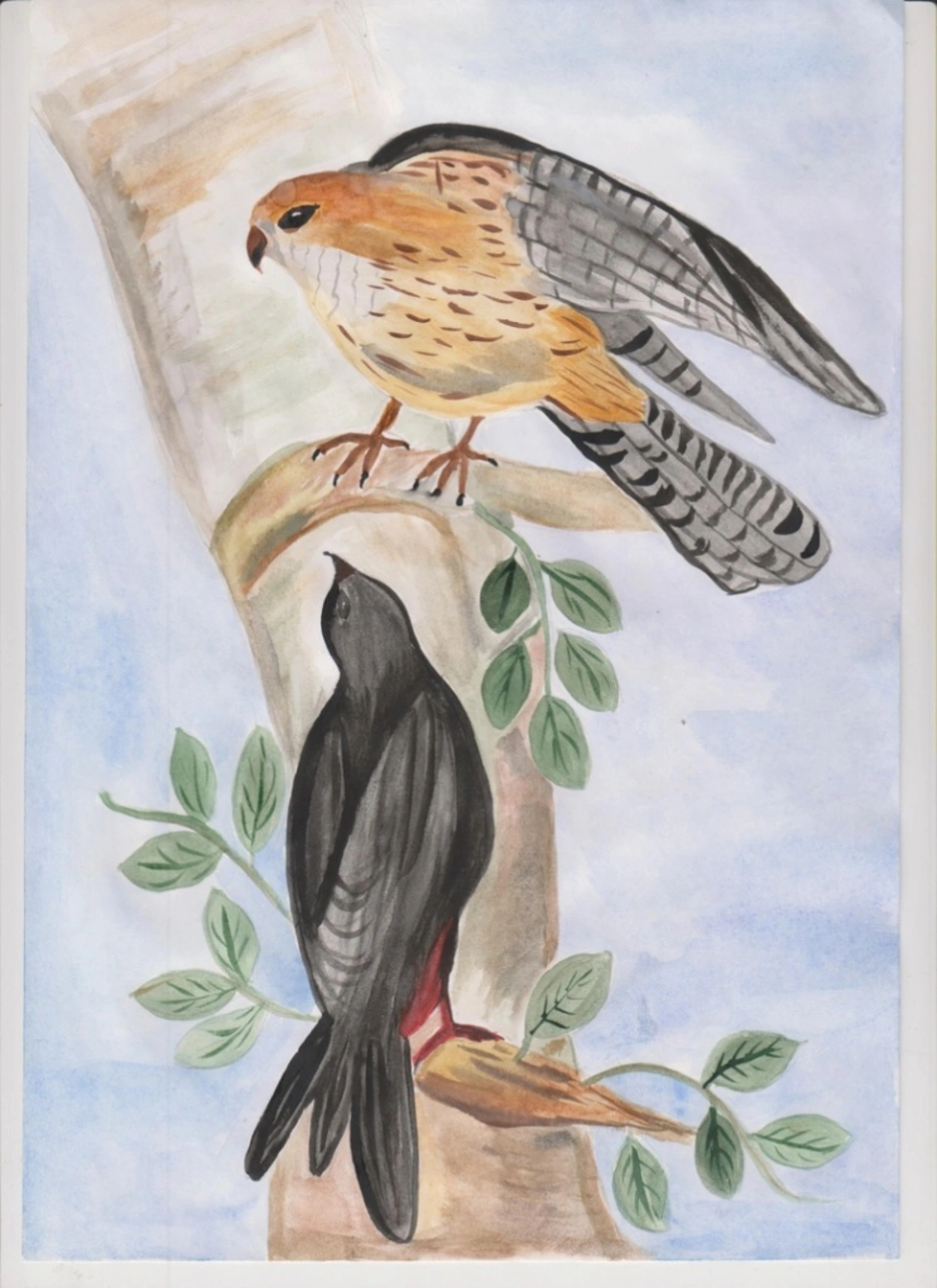 Птица рисунок. Рисунок птицы на конкурс. Конкурс рисунков про птиц 2021. Рисунок птица года.