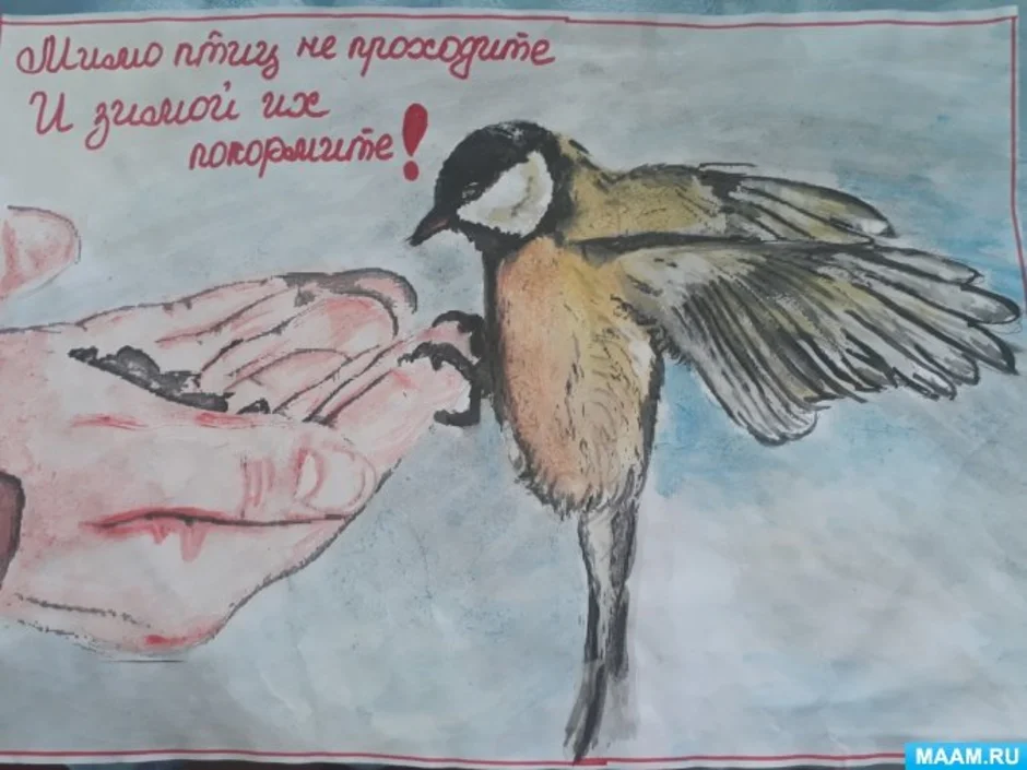 Защита и помощь человека птицам. Рисунок на тему птицы. Плакат в защиту птиц. Покормите птиц зимой. Плакат берегите птиц.