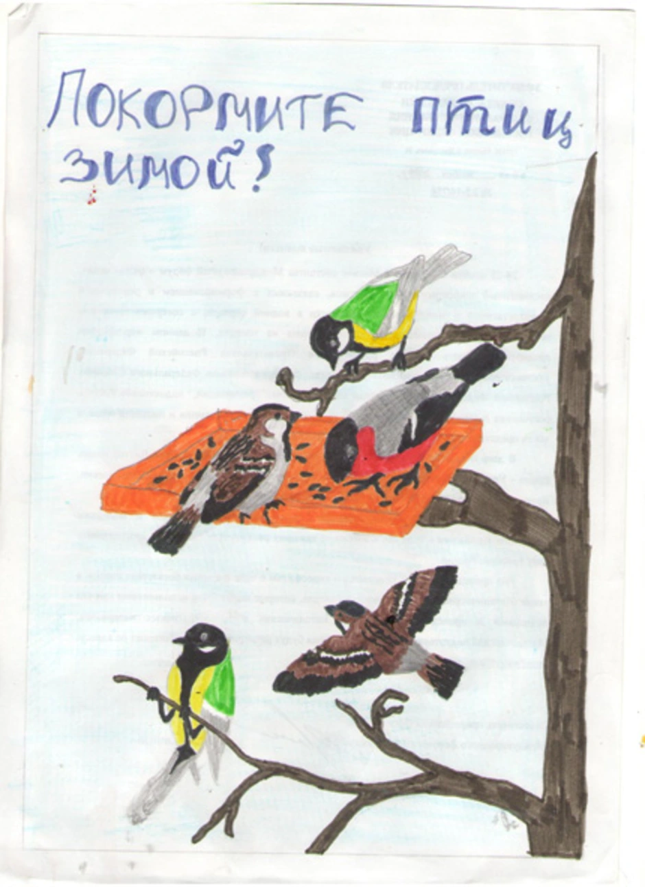 Листовка пернатые друзья. Плакат берегите птиц. Плакат в защиту птиц. Листовка в защиту птиц. Берегите птиц зимой.