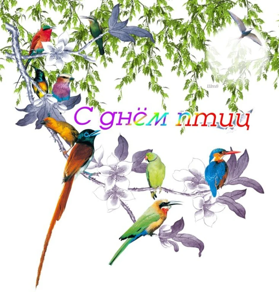 Всемирный день птиц в детском. День птиц. Международный день птиц. Международный день Пти. Всемирный день птиц для детей.