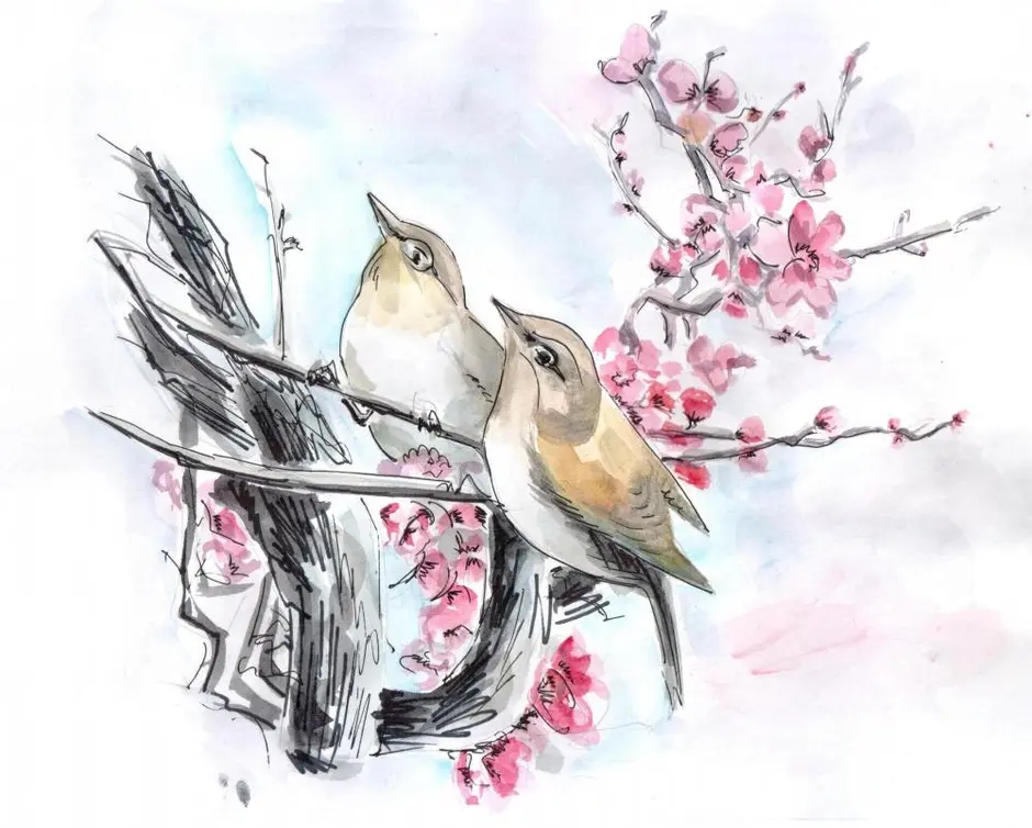 Весенние птицы рисунок. Весенние рисунки. Весенние птицы рисунки. Рисование весенних птиц.