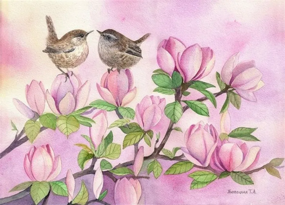 Весенние птицы рисунок. Живопись цветы и птицы. Весенние птицы живопись. Весенние птицы акварель.