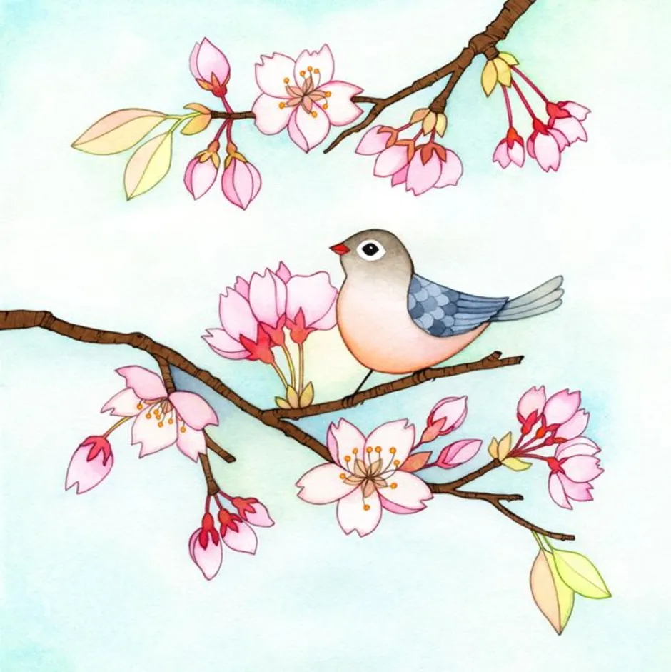 Весенние птицы рисунок. Птица рисунок. Птица на ветке Сакуры. Птичка на ветке рисунок. Рисование весенних птиц.