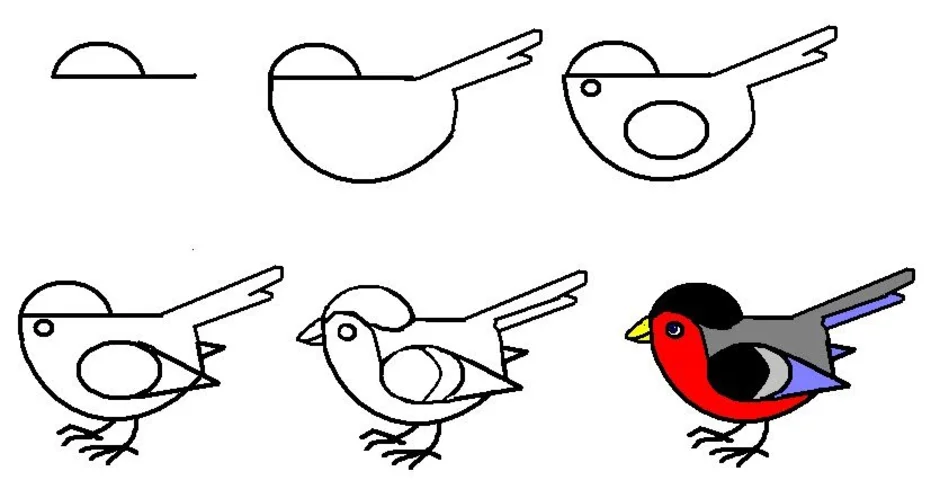 Рисунок птицы 5 класс. Рисование птиц для детей. Схема рисования птицы. Пошаговое рисование птицы. Поэтапное рисование птиц для детей.