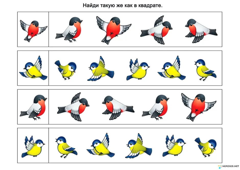 Картинки птицы для дошкольников