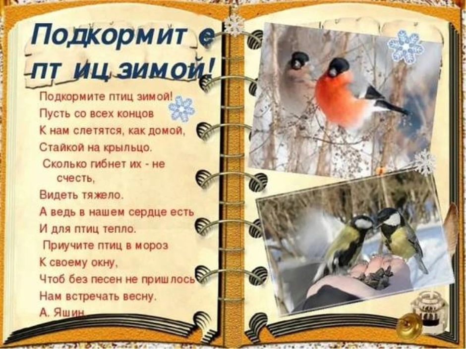 Стихотворение покормите зимой. Книга птицы зимой. Покормите птиц зимой. Памятка зимующие птицы. Листовка зимующие птицы.