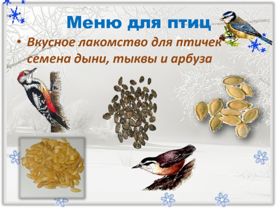 Корм для зимующих птиц. Семена для зимующих птиц. Угощение для птиц зимой. Угощение для зимующих птиц.