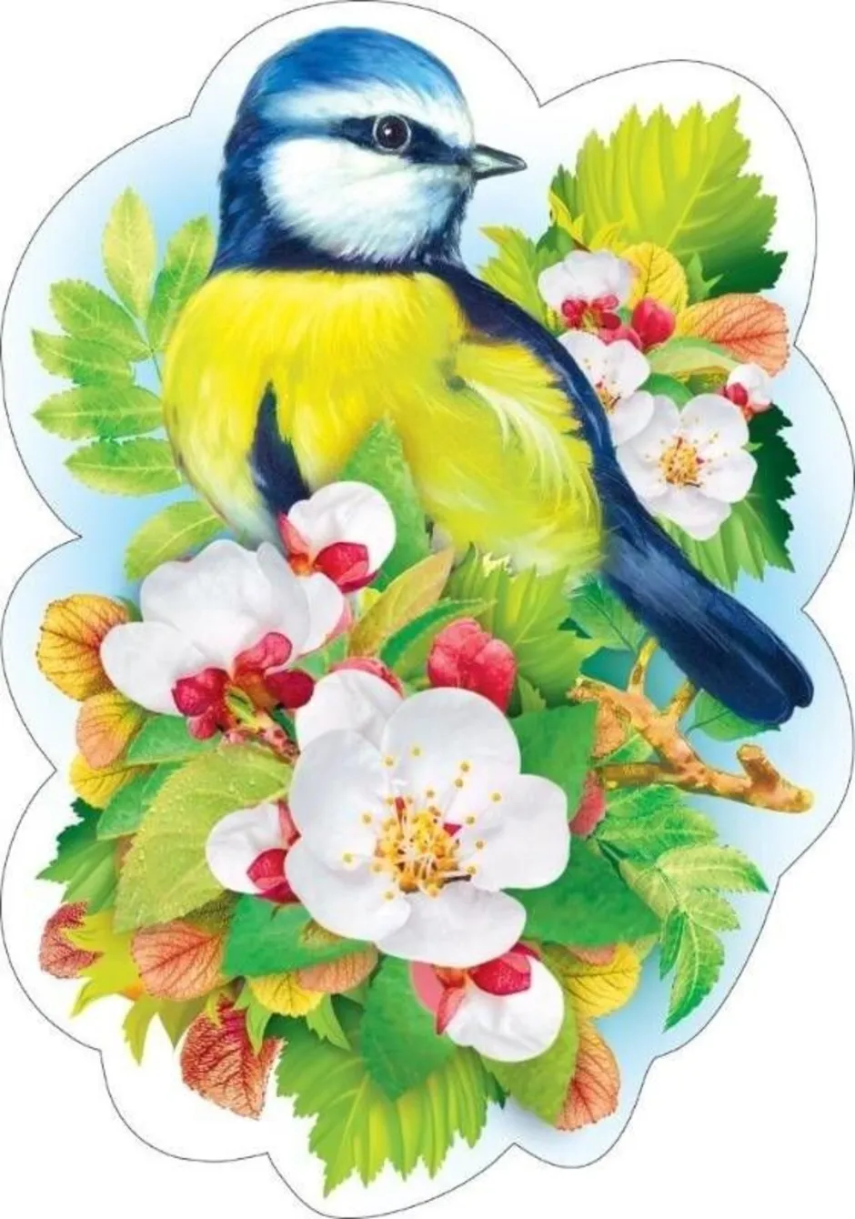 Весенние птички картинки для оформления. Весенние птицы для украшения группы в детском саду. Птица рисунок. Красивые птички для детского сада.
