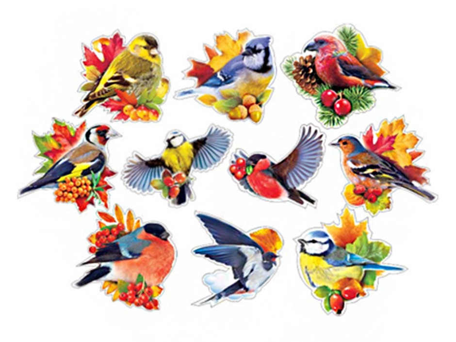 Пташки хср. Птички для вырезания цветные. Птицы для детсада. Птицы в уголке природы. Птички для печати цветные.