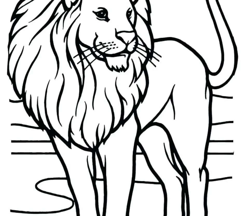 Лев печатать. Раскраска Лев. Распечатка Льва. Контур Льва для раскрашивания. Лев раскраска для малышей.