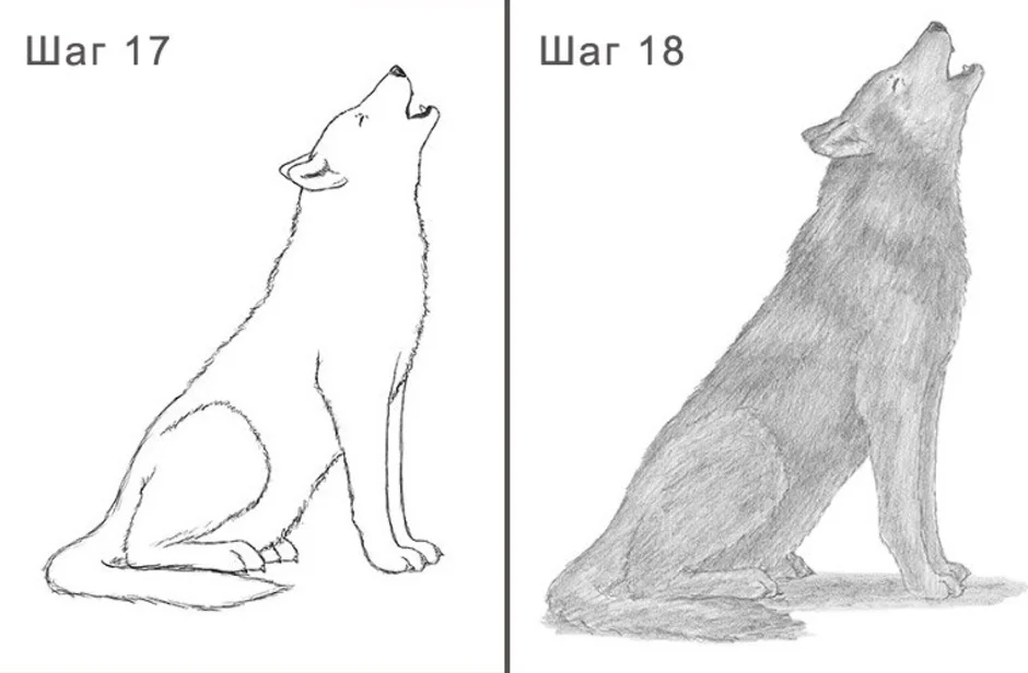 Волк поэтапно для детей. Волк сбоку рисунок пошагово. Схема рисования волка для детей. Пошаговое рисование волка. Как нарисовать волка карандашом поэтапно для детей.