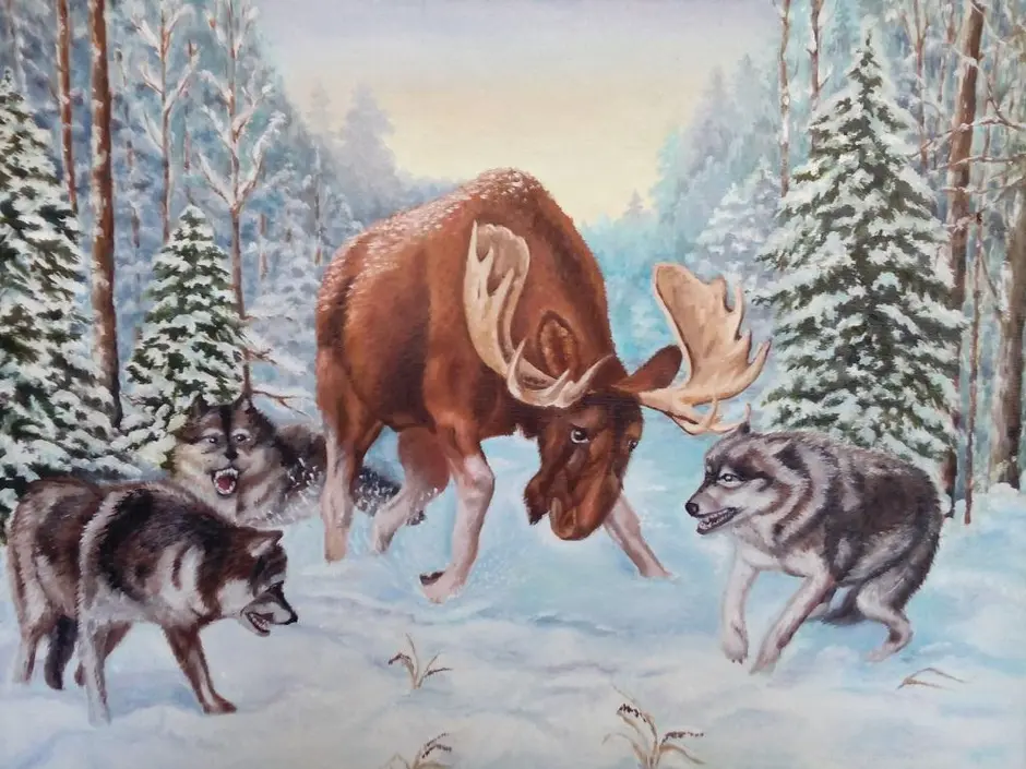 Про лося и волка. Лось и волк. Лось и волки картина. Картина встреча в лесу. Картина волки в зимнем лесу.