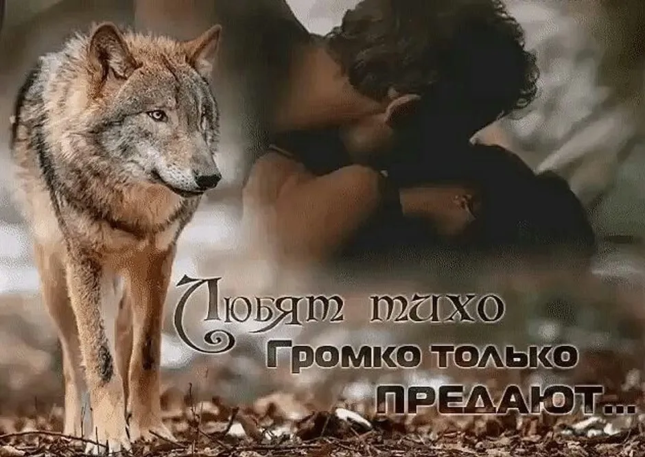 Про жизнь волков