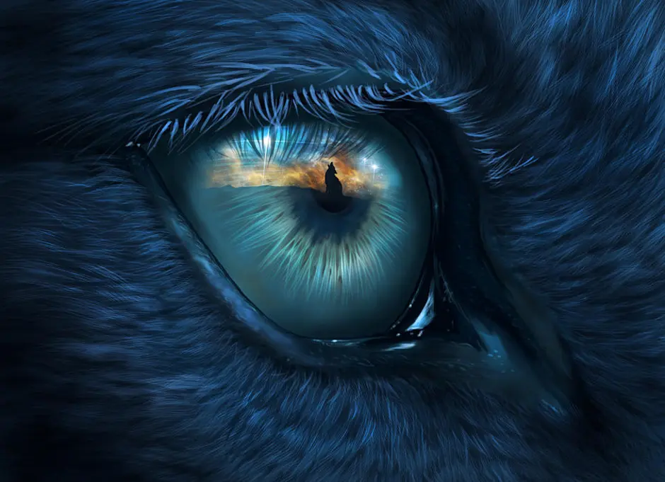 Глаза волка ночью. True nature глаз. Wolf Eyes.