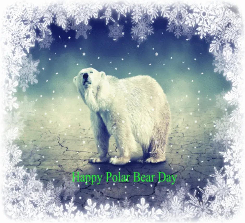 Белый медведь. Международный день полярного медведя. Белый медведь анимация. Белый медведь на день рождения.