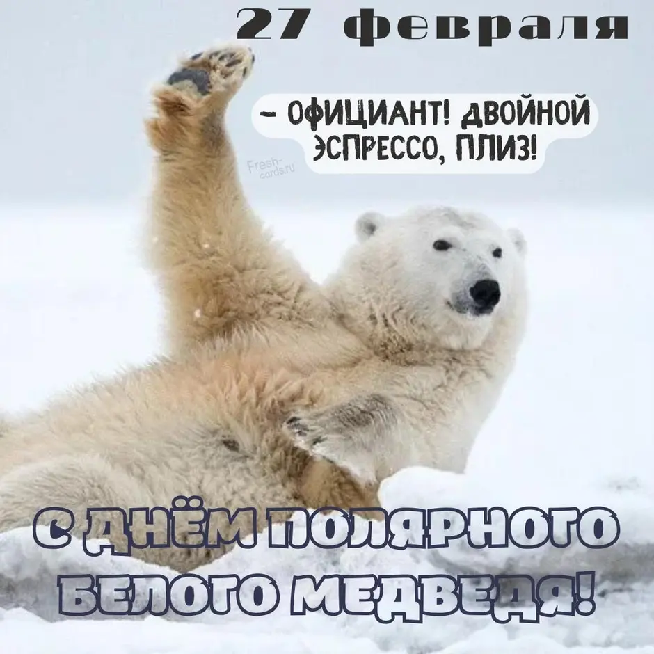 Поздравления с днем белым медведем. Международный день полярного белого медведя 27 февраля. День полярного медведя. День белого медведя. 27 Февраля день белого медведя.